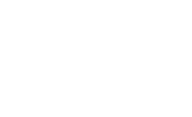 Birdi
